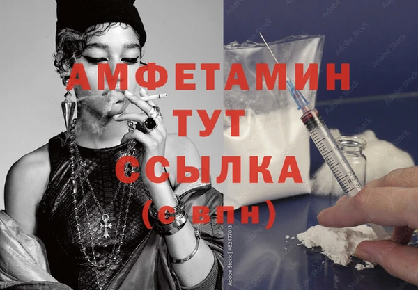 гидра Аркадак