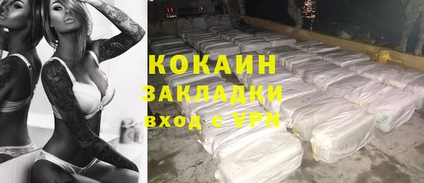 гидра Аркадак