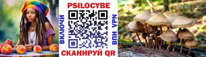 Галлюциногенные грибы мухоморы  Облучье 